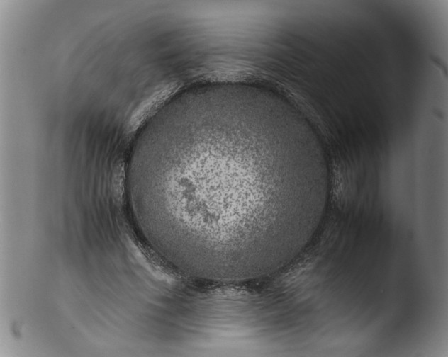 X0000103430586200809261732