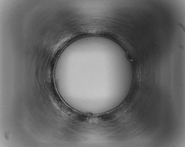 X0000103430587200809261732