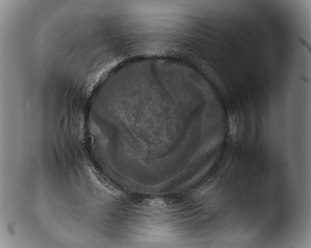 X0000103430588200809261732