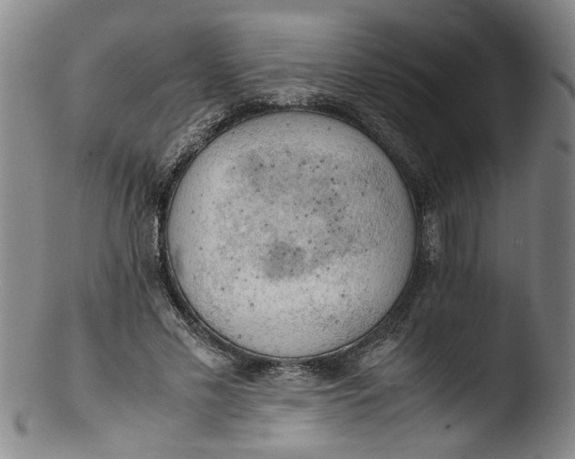 X0000103430589200809261732