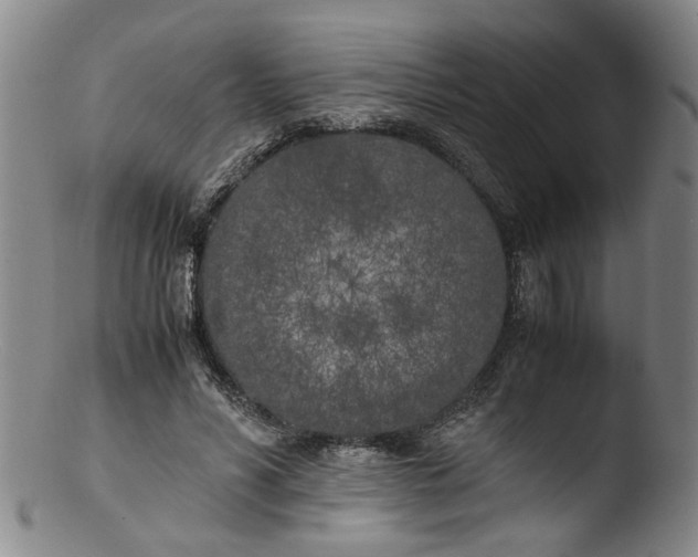 X0000103430590200809261732