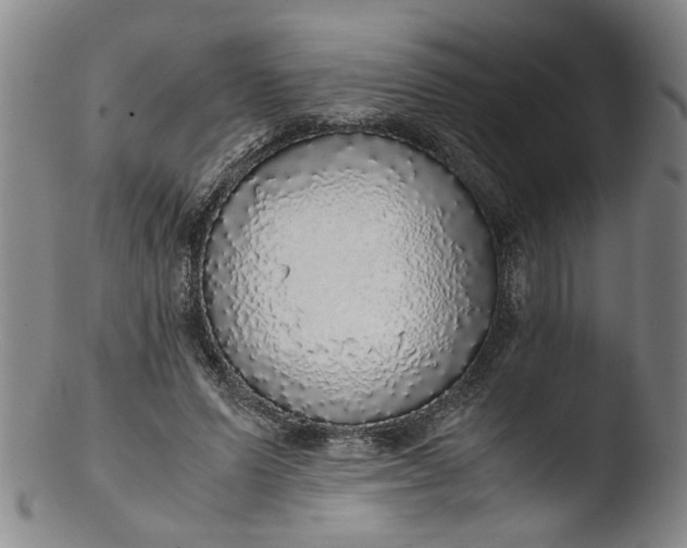 X0000103430591200809261732