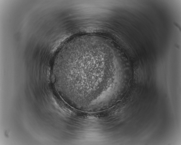 X0000103430592200809261732