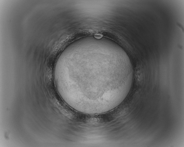 X0000103430593200809261732