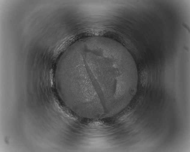 X0000103430594200809261732