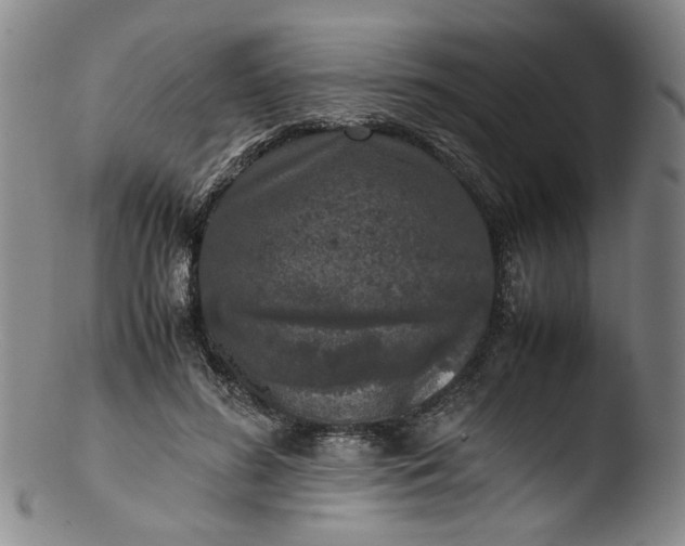 X0000103430596200809261732