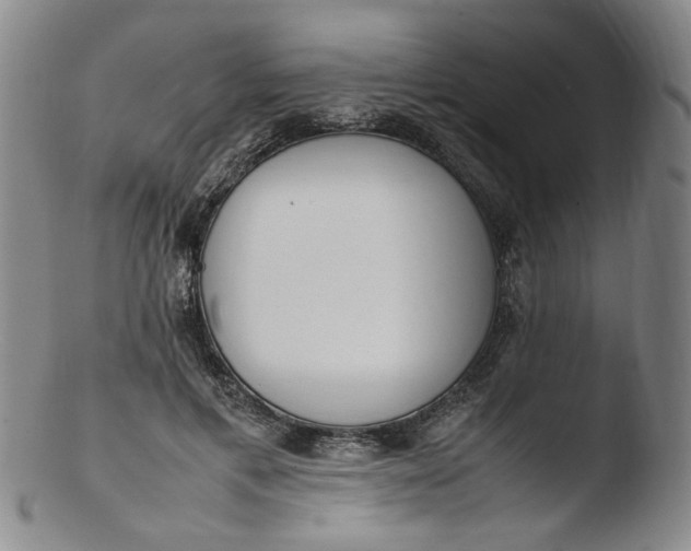 X0000103430597200809261732