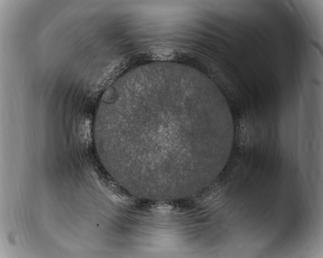 X0000103430598200809261732