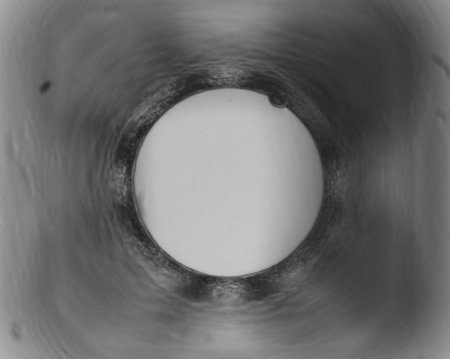 X0000103430599200809261732