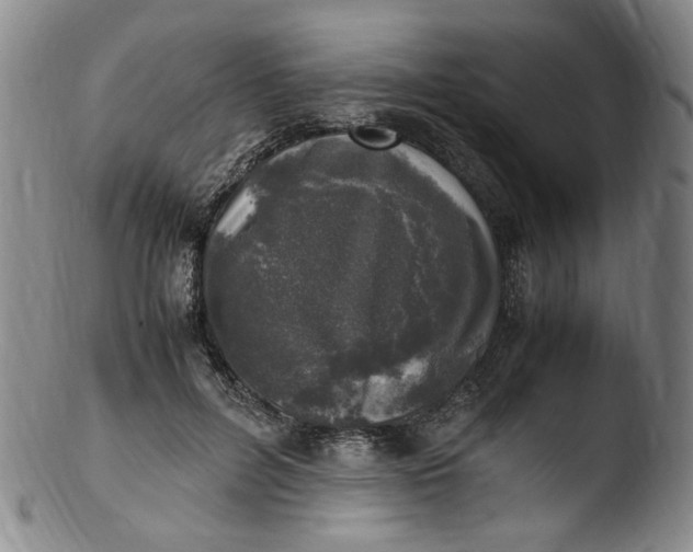 X0000103430600200809261732