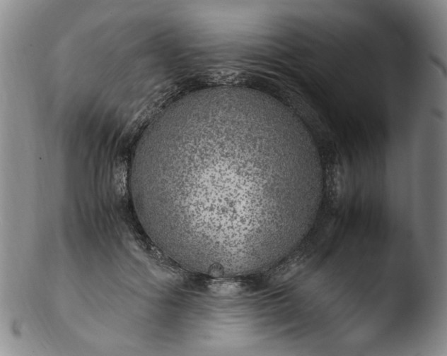 X0000103430602200809261732