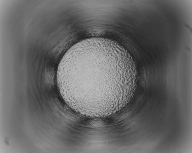 X0000103430604200809261732