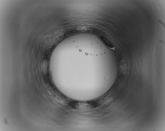 X0000103430605200809261732