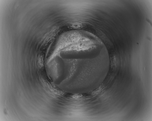 X0000103430606200809261732