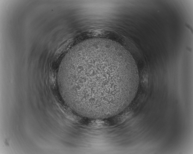 X0000103430607200809261732