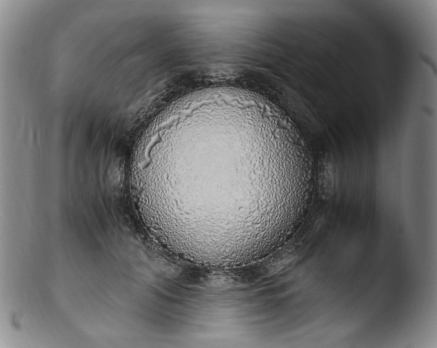 X0000103430608200809261732