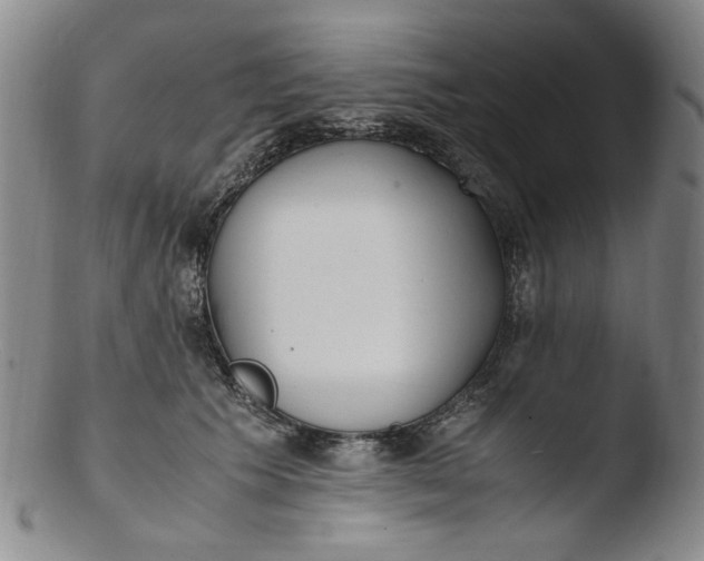 X0000103430609200809261732