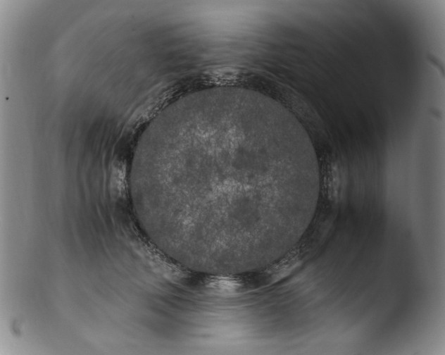 X0000103430610200809261732