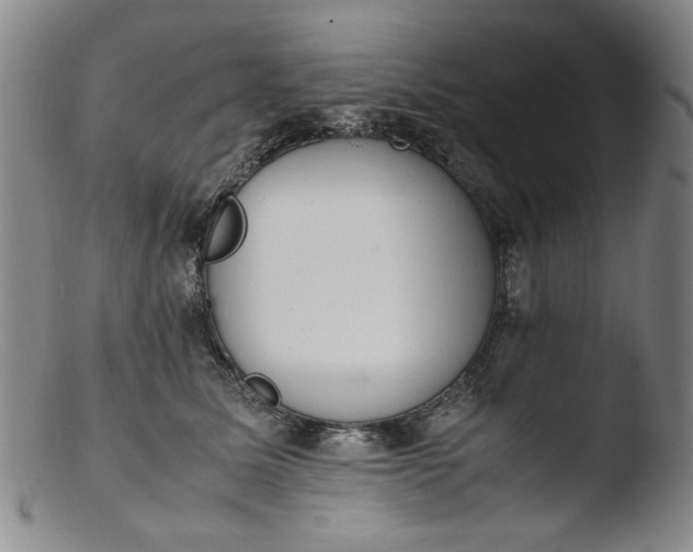 X0000103430611200809261732