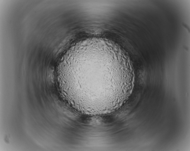 X0000103430612200809261732