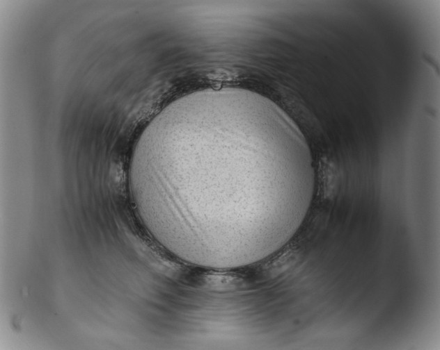 X0000103430614200809261732