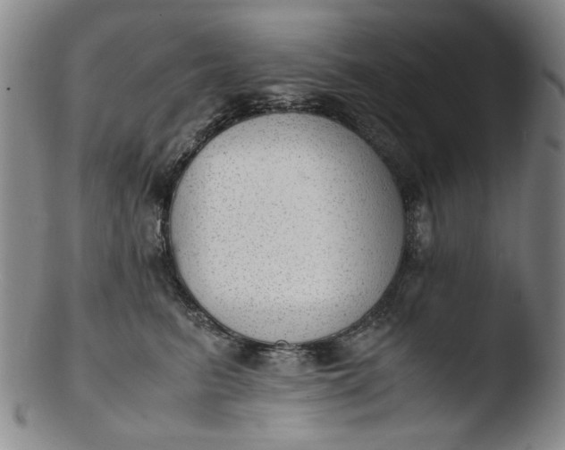 X0000103430615200809261732