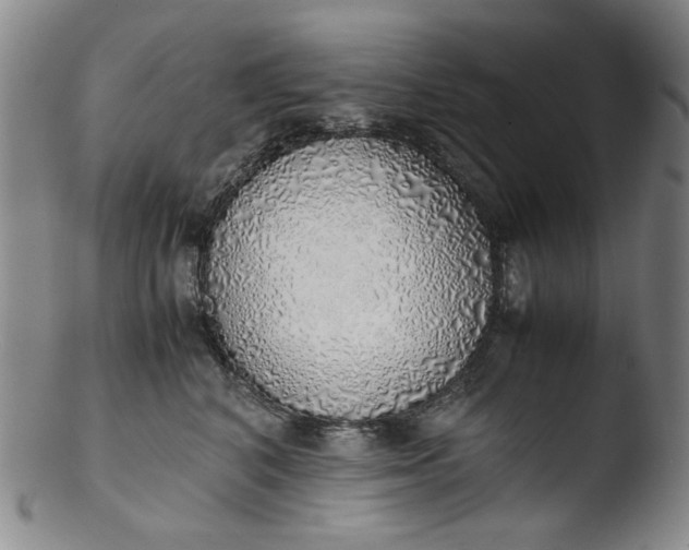 X0000103430616200809261732