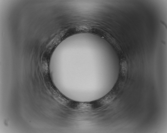 X0000103430617200809261732