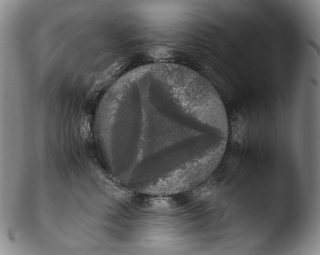 X0000103430618200809261732