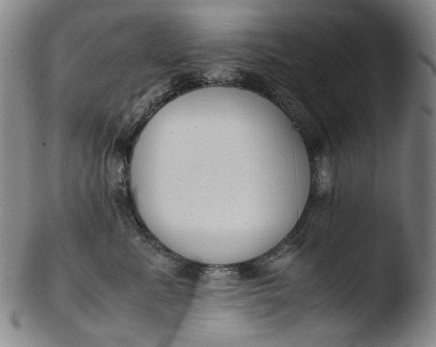 X0000103430619200809261732