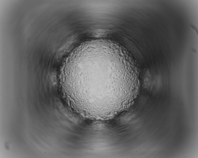 X0000103430620200809261732