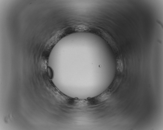 X0000103430621200809261732