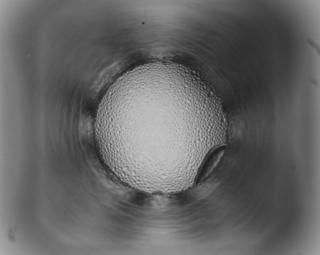 X0000103430623200809261732