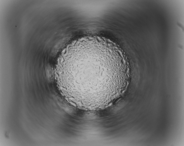 X0000103430624200809261732