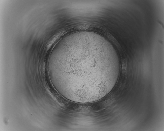 X0000103430626200809261731