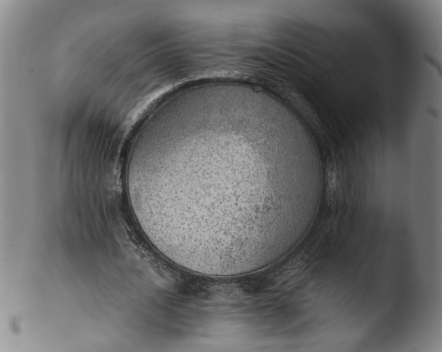 X0000103430628200809261731