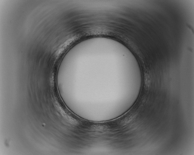 X0000103430629200809261731