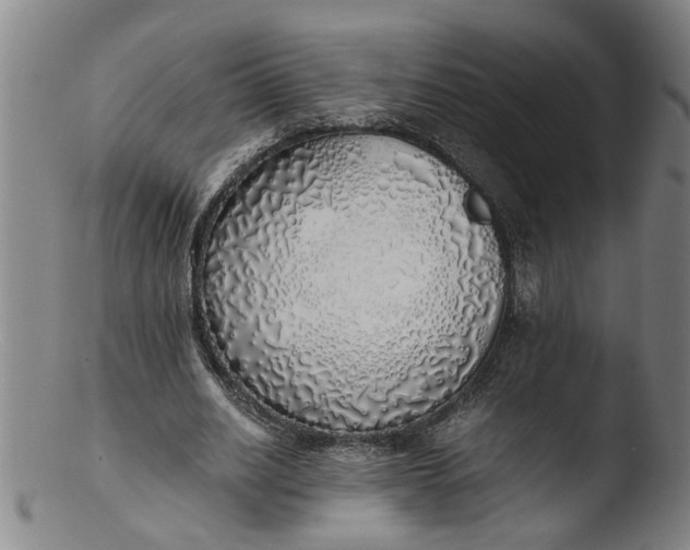 X0000103430630200809261731