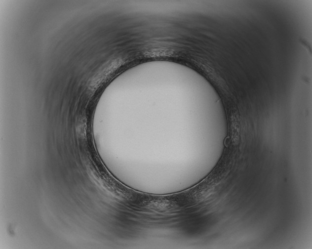 X0000103430631200809261731