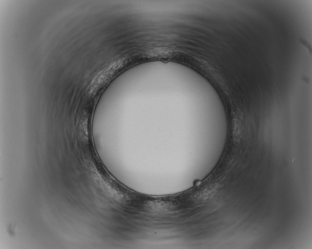 X0000103430633200809261731