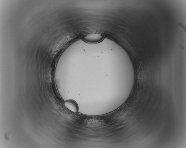 X0000103430635200809261731