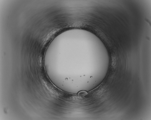 X0000103430636200809261731