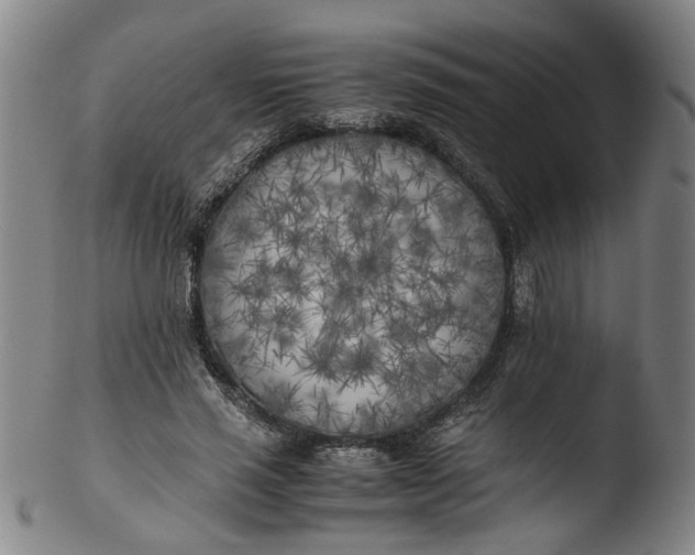 X0000103430637200809261731