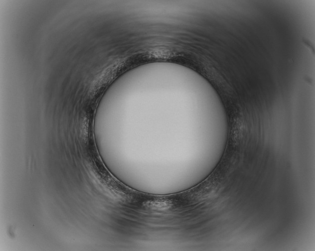 X0000103430639200809261731