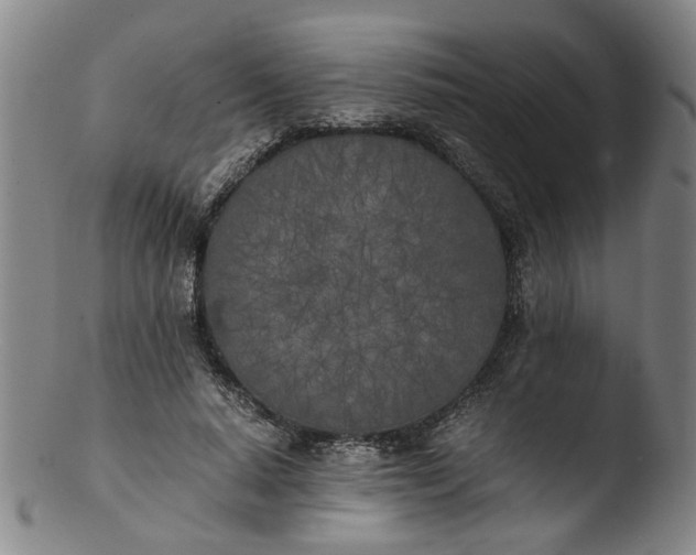 X0000103430640200809261731