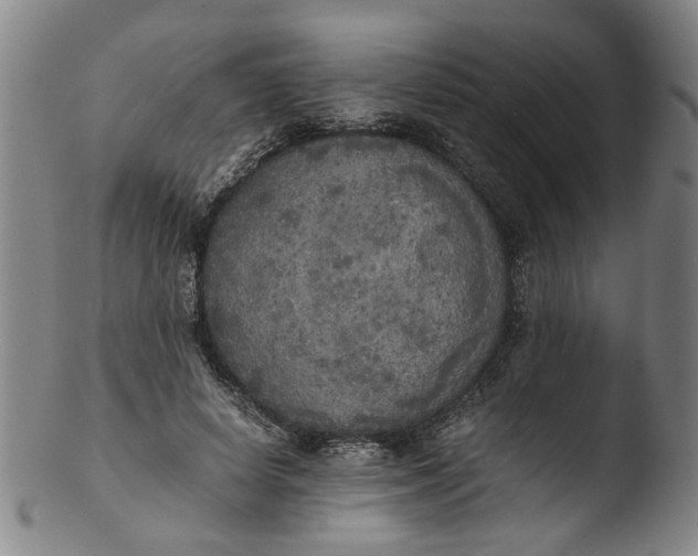 X0000103430642200809261731