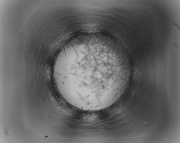 X0000103430643200809261731