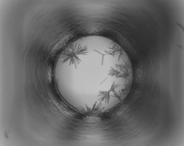 X0000103430644200809261731