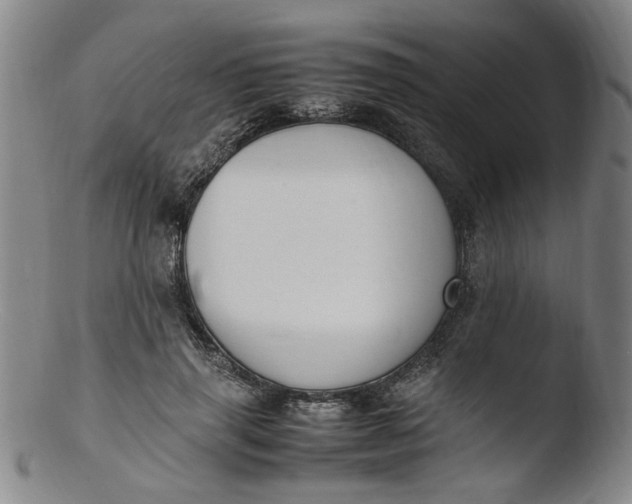 X0000103430645200809261731