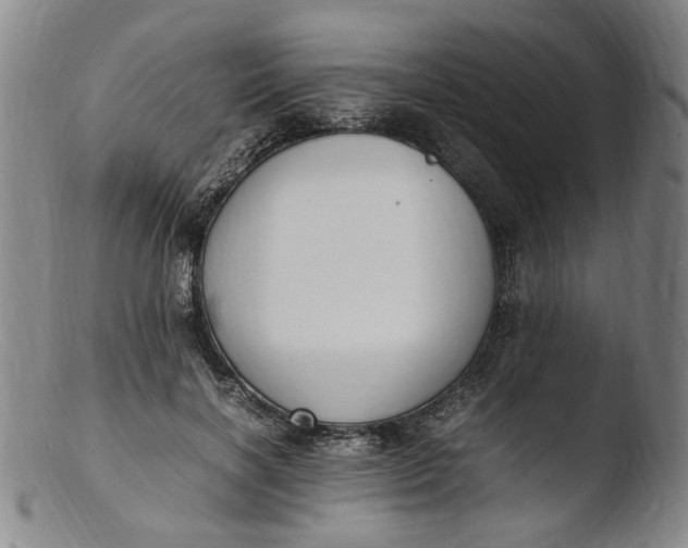 X0000103430646200809261731